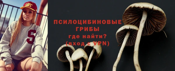 эйфоретик Алексин