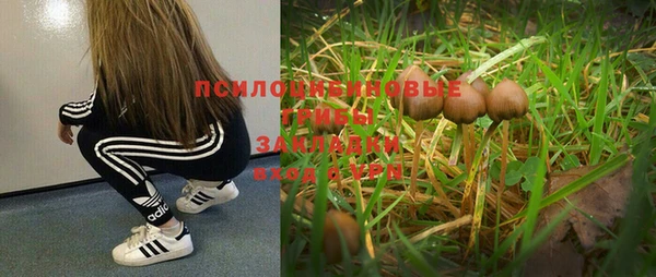 apvp Снежногорск