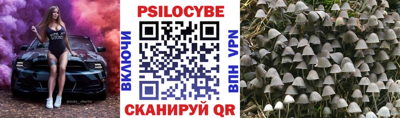 Галлюциногенные грибы мухоморы Егорьевск