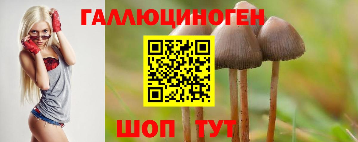 Псилоцибиновые грибы мицелий  Вход с VPN  Егорьевск 
